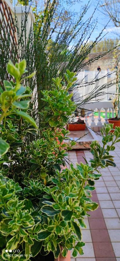 Residenza Porta Brescia Villa Peschiera del Garda Ngoại thất bức ảnh